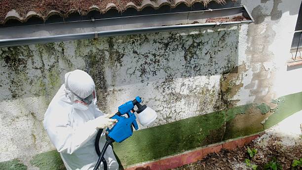 Top rated local Crawl Space Mold Remediation specialists in Harrison, TN